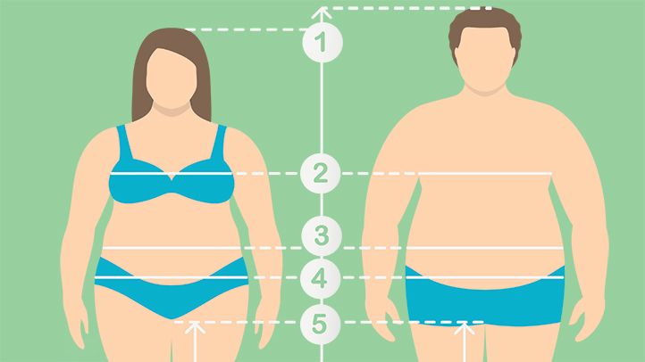 Виды ожирения живота у женщин фото и пояснениями